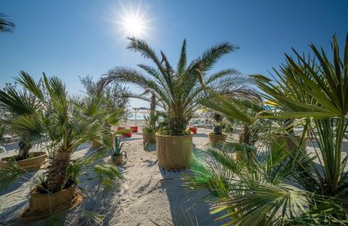 Olimp Hotel | Hotel Meduza Olimp