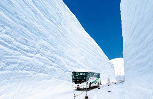 Nakaniikawa-gun Hotel | Hotel Morinokaze Tateyama‎