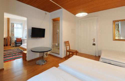 Monbijou Hotel | Hotel National Bern