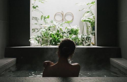 Fujikawaguchiko Villa | hotel norm ao