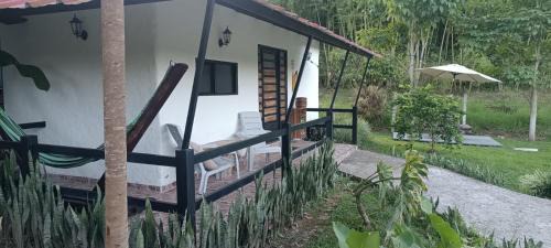 Pitalito Apartment | Hotel oBeja negra Muki