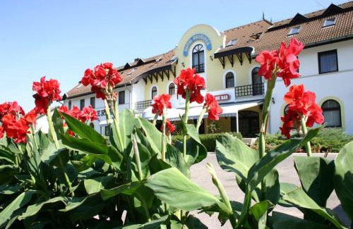 Balastya Hotel | Hotel Orchidea