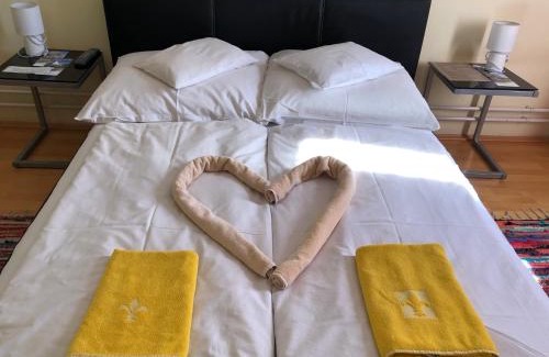Szigetvar Hotel | Hotel Oroszlán Szigetvár