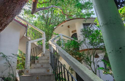 Xilitla Hotel | Hotel Paraíso Encantado