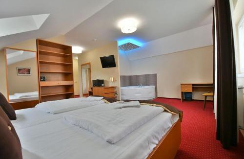 Szekesfehervar Hotel | Hotel Platan