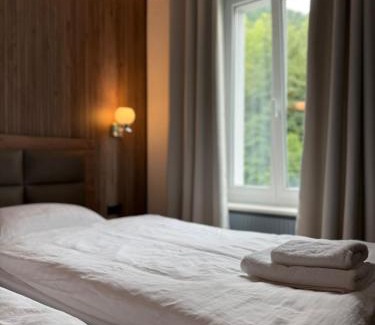 Saint-Sulpice Hotel | Hotel Restaurant du Moulin