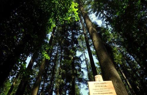 Vallombrosa Hotel | Hotel Rifugio la Foresta