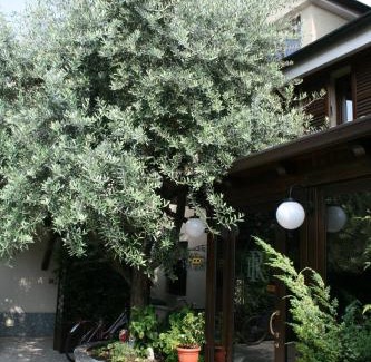 Carugate Hotel | Hotel Rocco