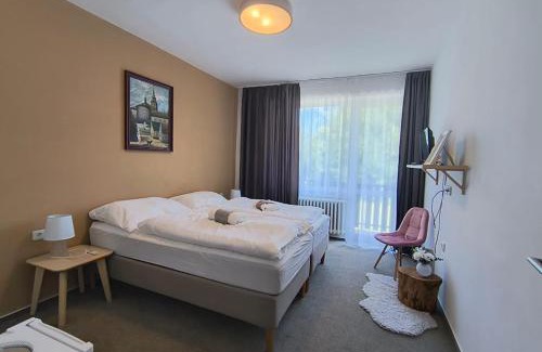 Senov u Noveho Jicina Hotel | Hotel Salaš