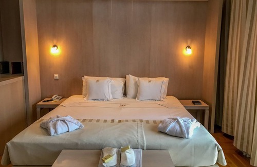 Satu Mare Hotel | Hotel Satu Mare City