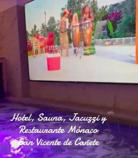 San Vicente de Canete Hotel | Hotel Sauna Jacuzzi Restobar Mónaco