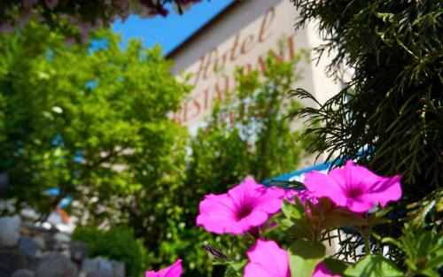 Gemuenden Hotel | Hotel Schäffer - Steakhouse Andeo