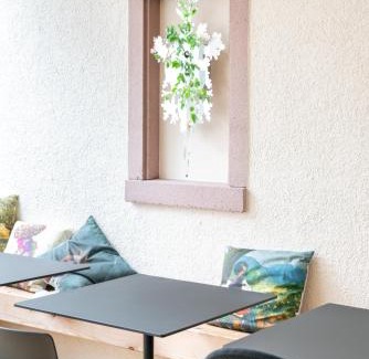 Freiburg im Breisgau Hotel | Hotel Schwarzwälder Hof