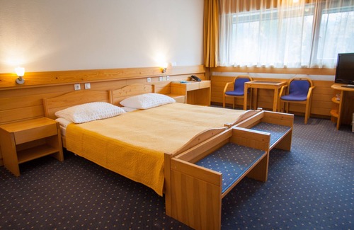 Gozd Martuljek Hotel | Hotel Spik