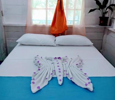 Puerto Narino House | Hotel Tatüane mundo Amazónico