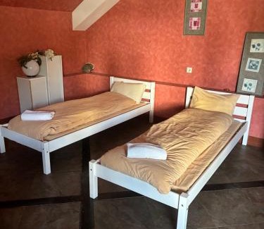 Sapareva Banya Hotel | Hotel Temenuga