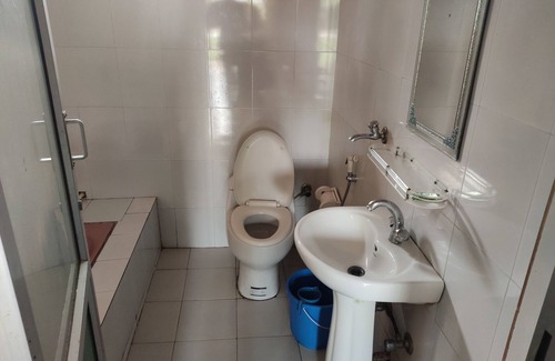 Sauraha Hotel | Hotel Tress House