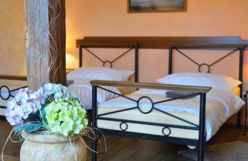 Vysoke Myto Hotel | Hotel Via Ironia