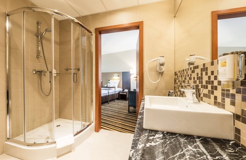 Pruszkow Hotel | Hotel Victor Pruszków DeSilva