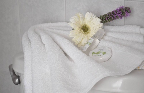 Irapuato Hotel | Hotel Viena