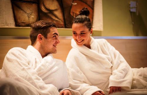 Nagykanizsa Hotel | Hotel Vineyard Inn - Szőlőskert