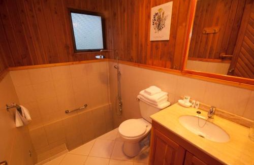 Pucon Hotel | Hotel y Termas Huife