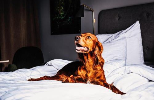Sundsvall Hotel | Hotell Södra Berget