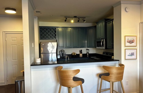 Tuscaloosa Condo | Houndstooth Heaven - half mile from Bryant Denny Stadium
