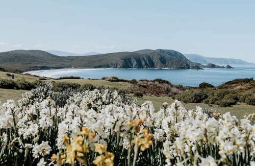 South Bruny House | House ∙ 1 bedroom ∙ 2 guests