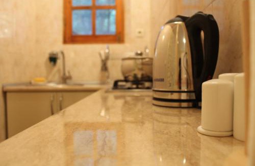 Tbilisi Bed & Breakfast | House 41