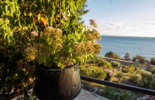 Donje Selo House | House Ana