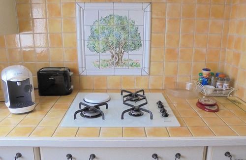 Saint-Victor-la-Coste House | House in Saint Victor la Coste in Provence, between Avignon and Pont du Gard