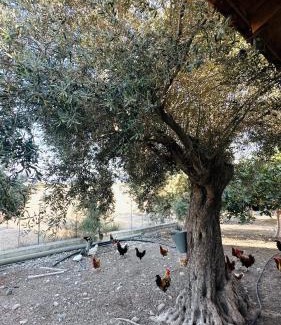 Maroni House | House in Maroni