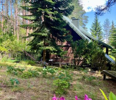 Wasilkow House | House in the forest in Podlasie