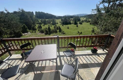 Zabljak Apartment | House Luka Zabljak Borje