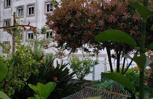 Darque Villa | House Mariona - Estadia com Linda Vista em Frente ao Rio Coura