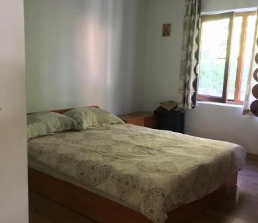Glavinitsa Apartment | House near Danube River
