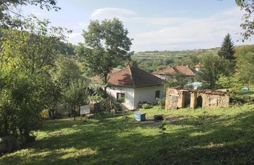 Glavinitsa Apartment | House near Danube River