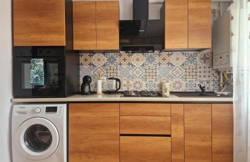 Petrosani Apartment | House of flowers