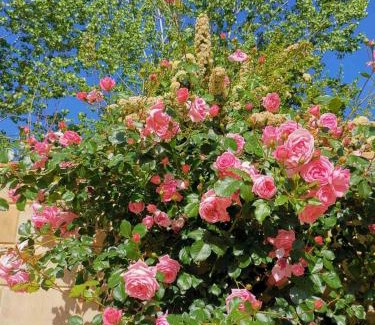 Agios Mamas Villa | House of Roses