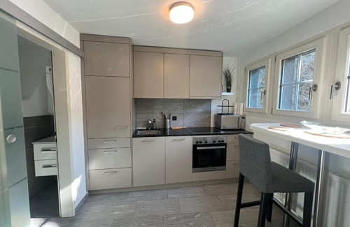 Brugg Apartment | House on historic city wall - Freihofapartments