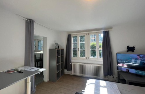 Brugg Apartment | House on historic city wall - Freihofapartments