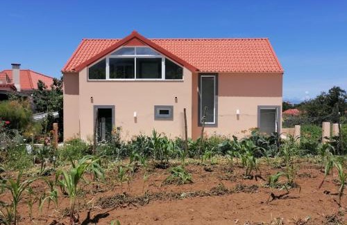 Santana House | House Vila Santa Ana
