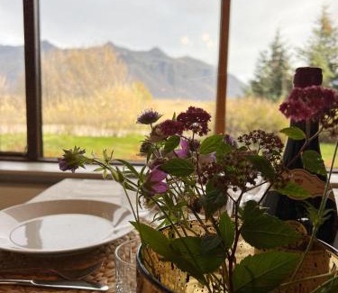 Hornafjörður House | House with a magical garden and sunroom