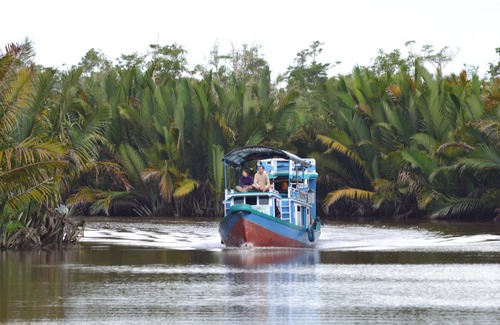 Kumai Boat Rental | Houseboat Kelotok Orangutan River Safari