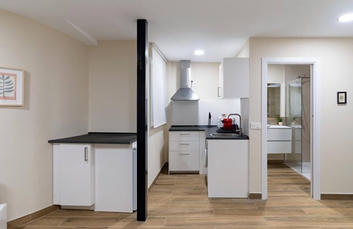 Old Town Apartment | Housing León- Azabachería 1B