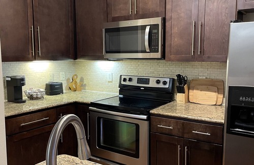 Astrodome Apartment | Houston apt near NRG Stadium/Med Center