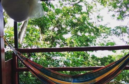 Boca Chica Hostel | Howlers Bay Cabin and camping