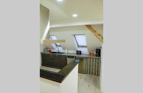 Greppin Apartment | HT Appartement Nr 1