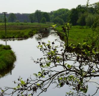 Onstwedde Bed & Breakfast | Huis Eedingh
